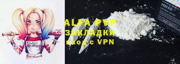 прущие грибы Михайловка