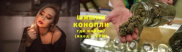 стаф Медногорск