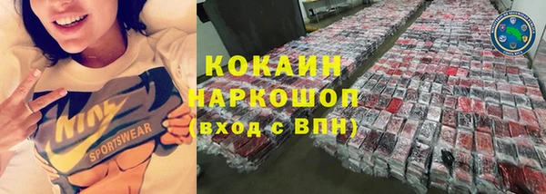 стаф Медногорск