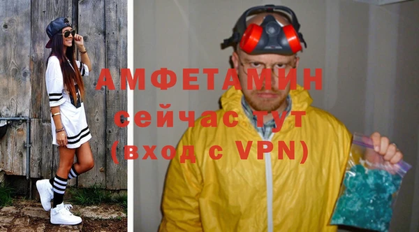 прущие грибы Михайловка
