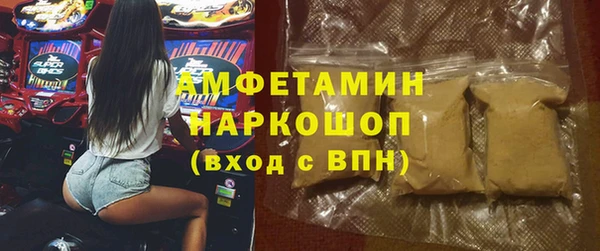 стаф Медногорск
