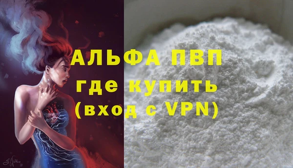 прущие грибы Михайловка