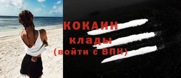 стаф Медногорск